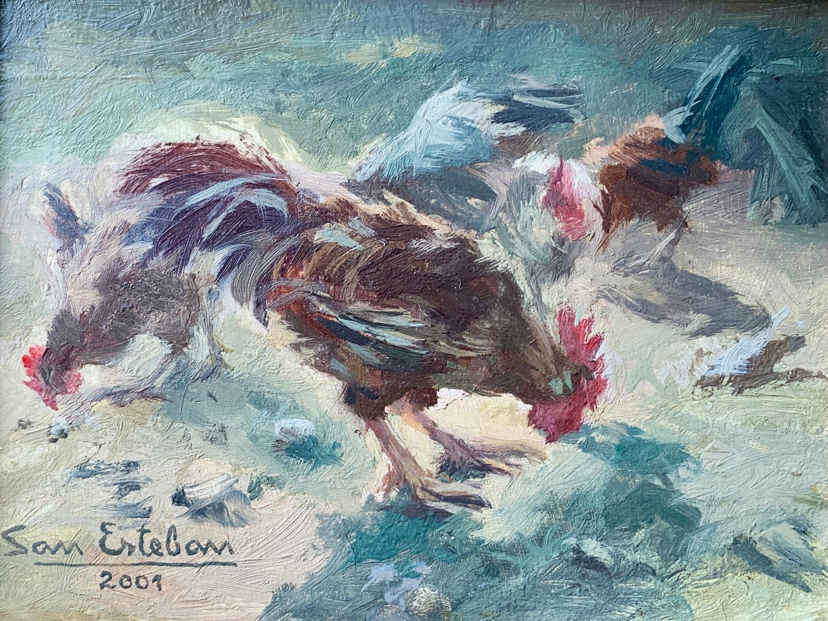Gallo y gallinas